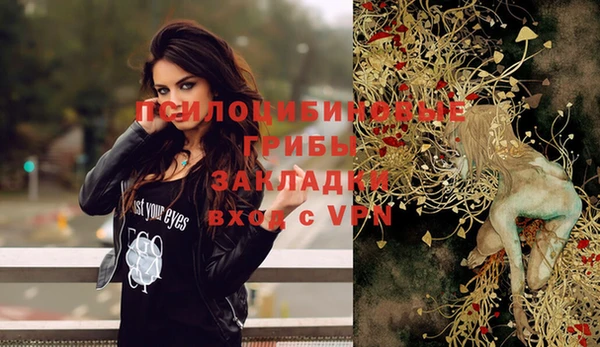 стафф Аркадак