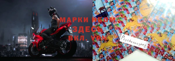 стафф Аркадак